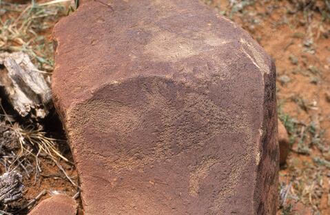 Open original Digital object