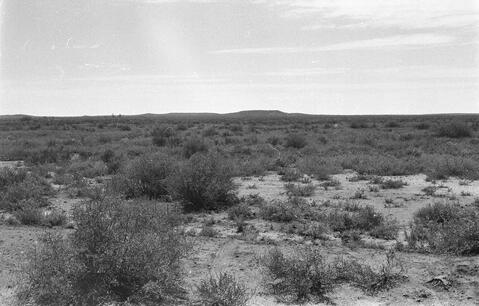 Open original Digitaal object