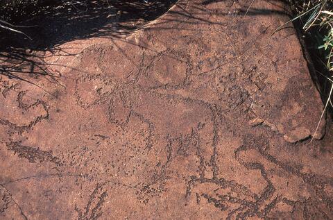 Open original Digital object