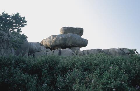 Open original Digital object