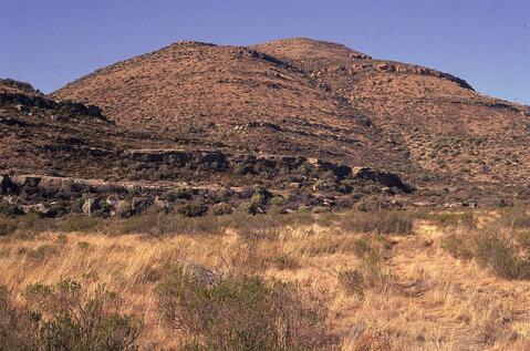 Open original Digitaal object