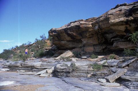 Open original Digital object