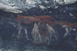 RARI ADN RSA GEE1 12