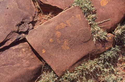 Open original Digital object