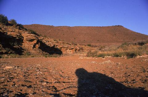 Open original Digital object