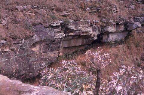 Open original Digitaal object