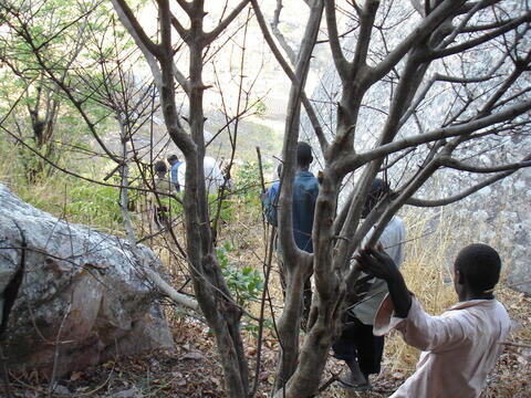 Open original Digital object