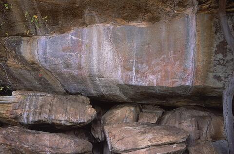 Open original Digital object