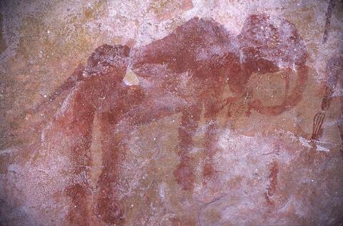 Open original Digital object