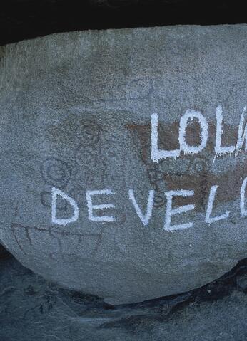 Open original Digital object