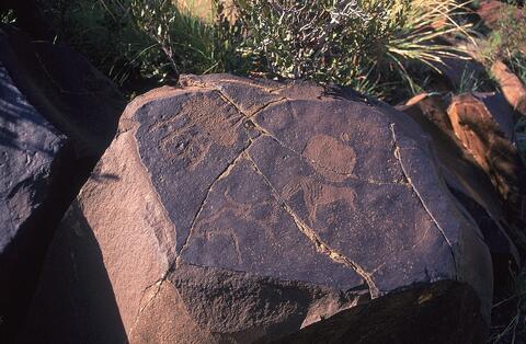 Open original Digital object