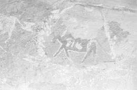 RARI RSA VEN1 9P
