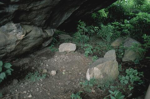 Open original Digital object