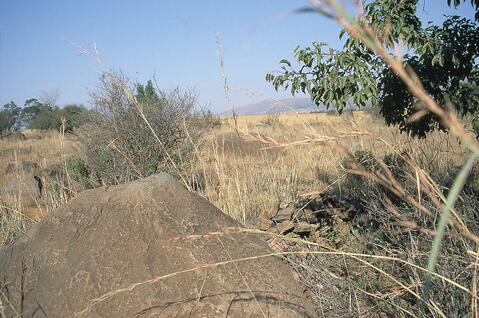 Open original Digital object