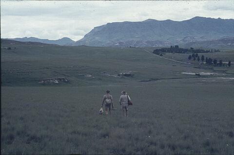 Open original Digitaal object