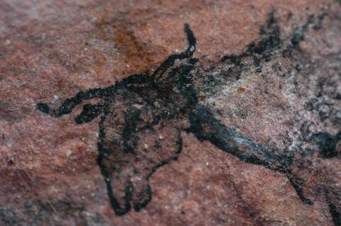 Open original Digital object