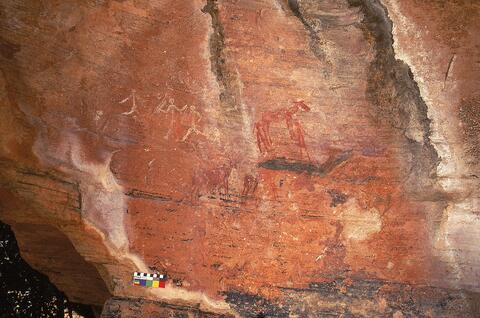 Open original Digital object