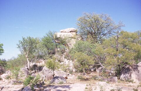 Open original Digital object