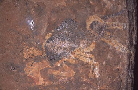 Open original Digital object