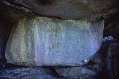 Open original Digital object