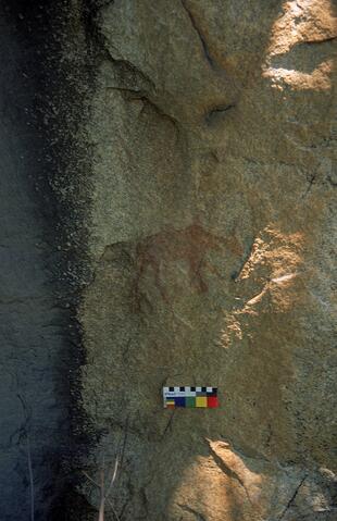 Open original Digital object