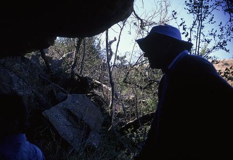 Open original Digital object