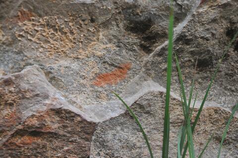 Open original Digitaal object