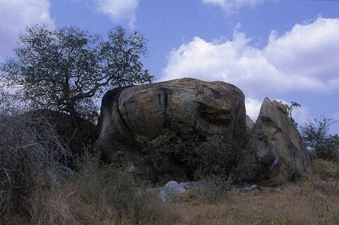 Open original Digital object