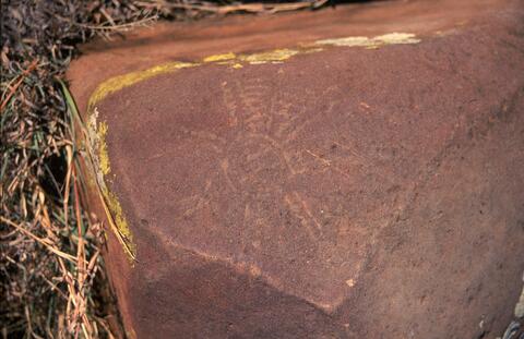 Open original Digital object