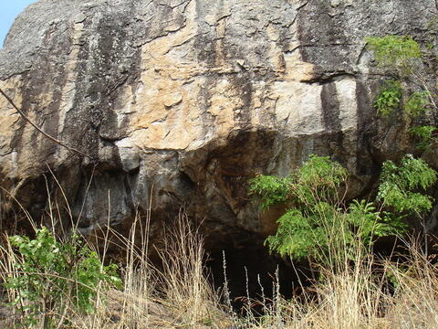 Open original Digital object