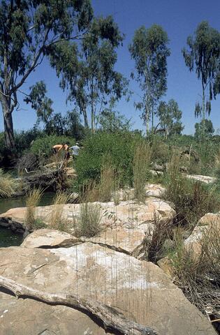 Open original Digital object