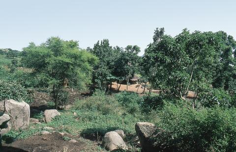 Open original Digital object