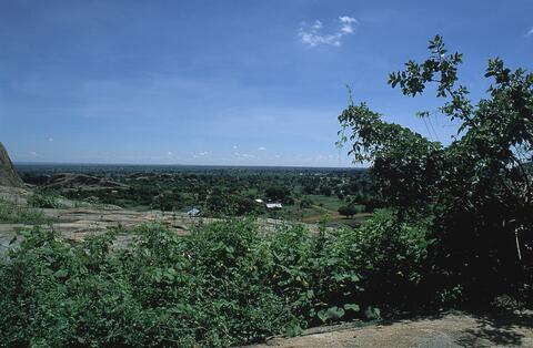 Open original Digital object