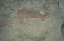 RARI RSA COD1 8