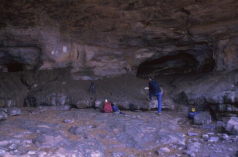 Open original Digital object