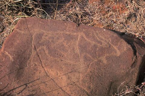 Open original Digital object