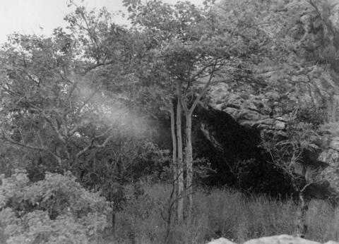 Open original Digital object