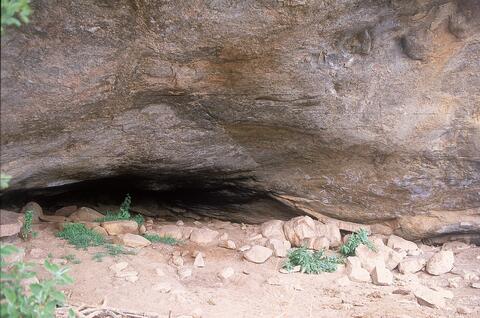 Open original Digital object