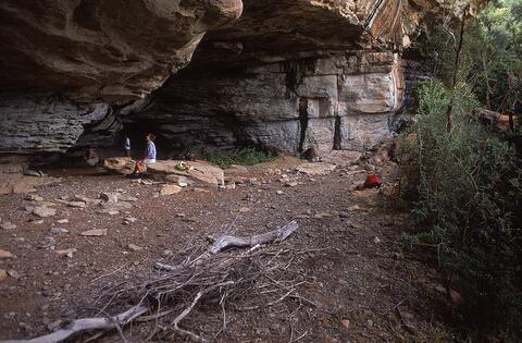 Open original Digital object