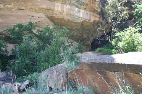 Open original Digital object