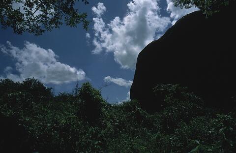 Open original Digital object