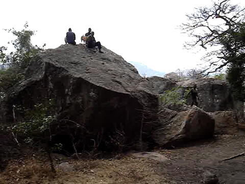 Open original Digital object