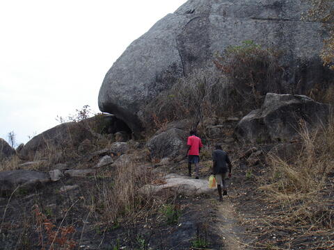 Open original Digital object