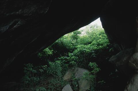 Open original Digital object