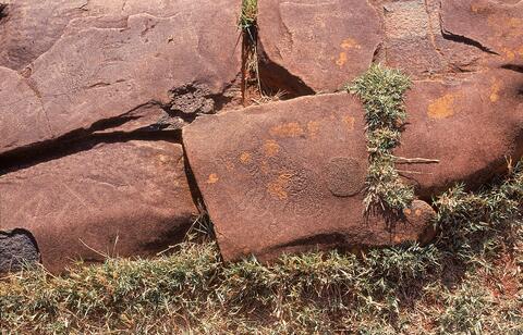 Open original Digital object