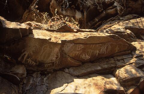 Open original Digital object