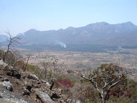 Open original Digital object