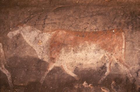 Open original Digital object