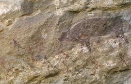 NASMUS SIMPSON RSA REE1 12