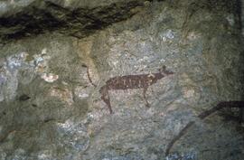 NASMUS SIMPSON RSA REE1 5